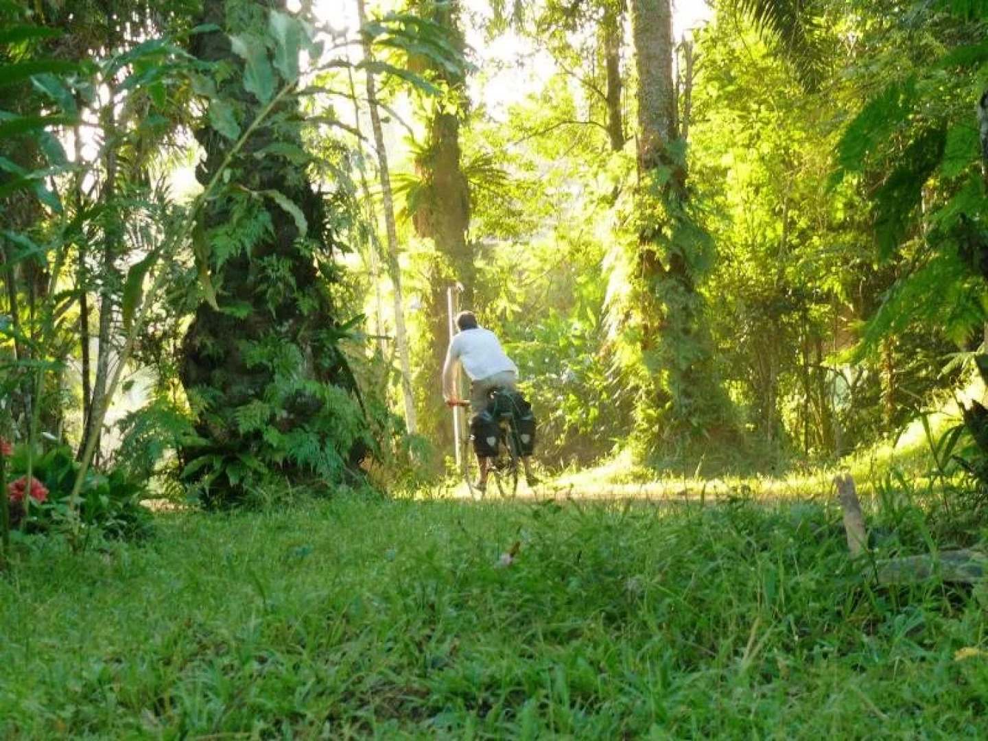 Suan Bang Bon B&B Inn