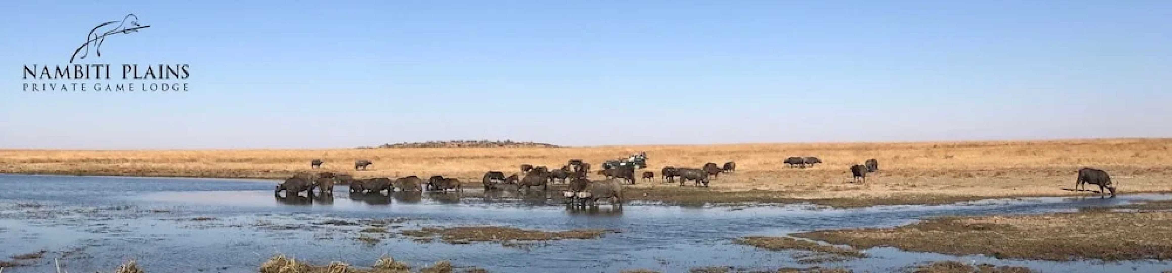 Nambiti Plains Private Game Lodge