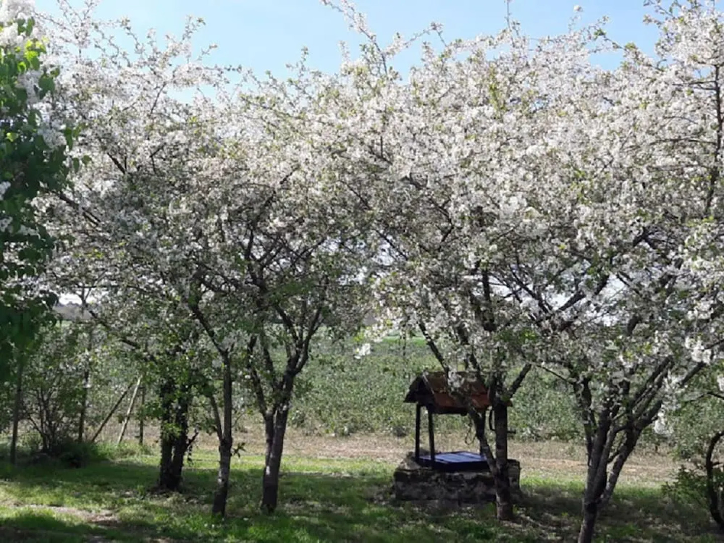 Chic Villa in La Chapelle-blanche-saint-martin With Jacuzzi