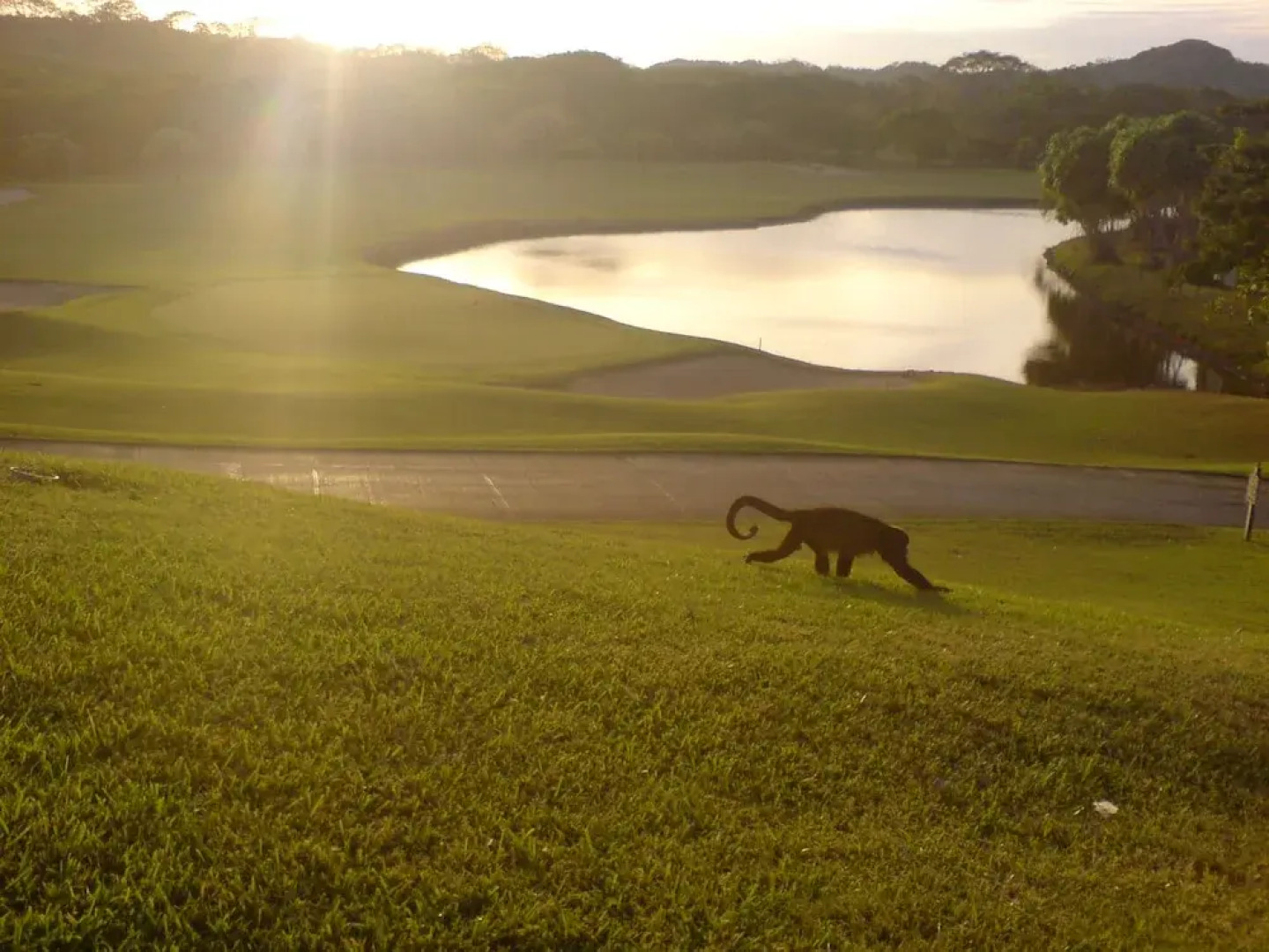 Ocean View Luxury Condo at Reserva Conchal A2