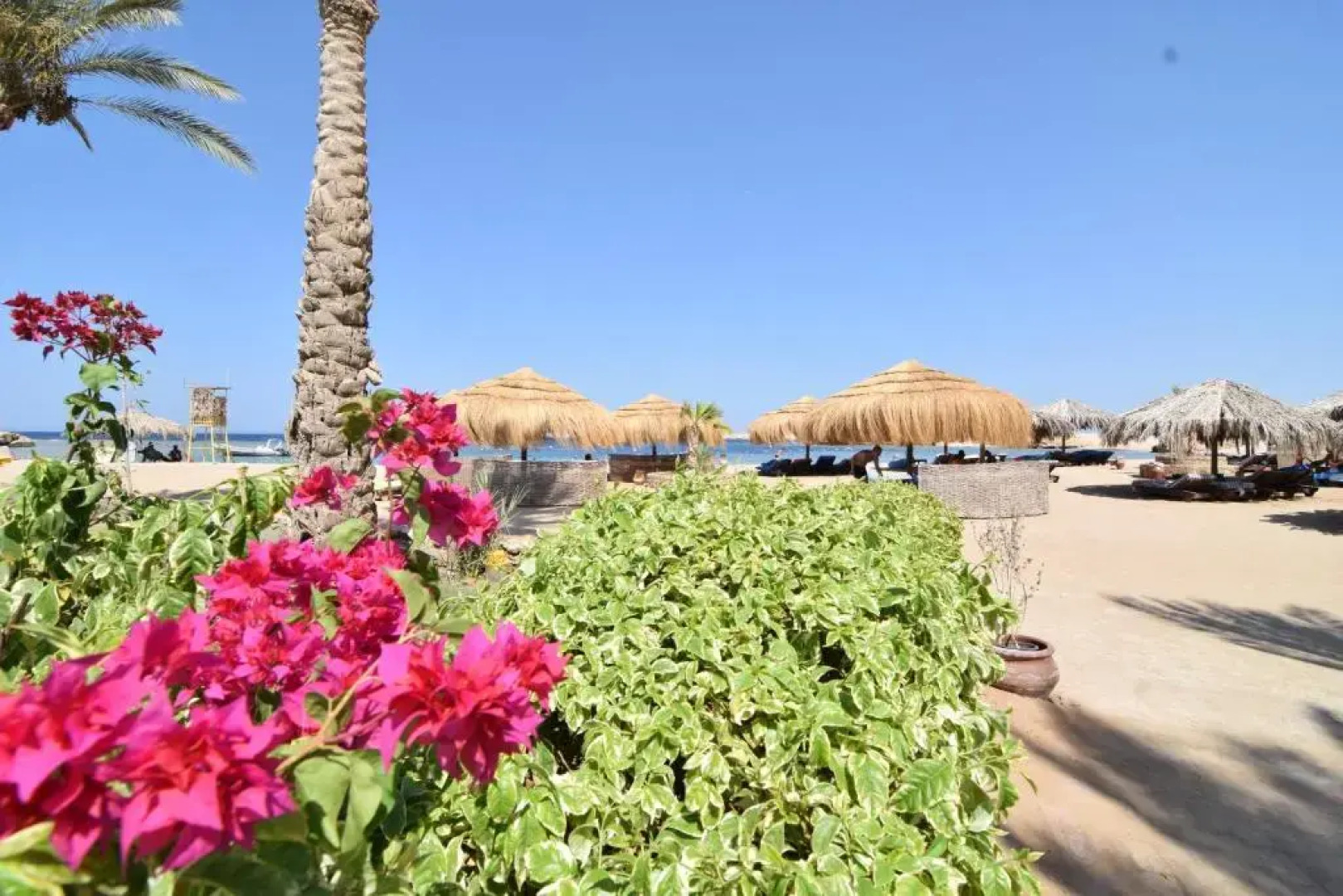 Sharm El Naga Resort and Diving Center