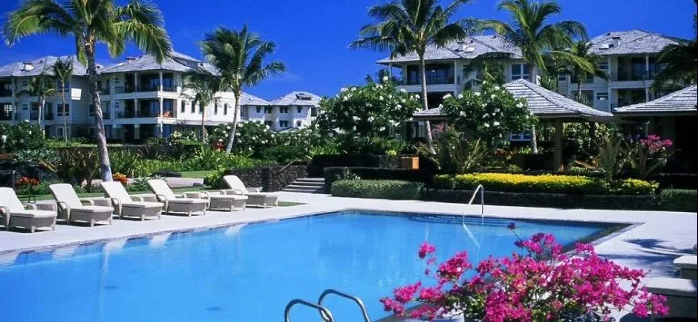 Kolea at Waikoloa