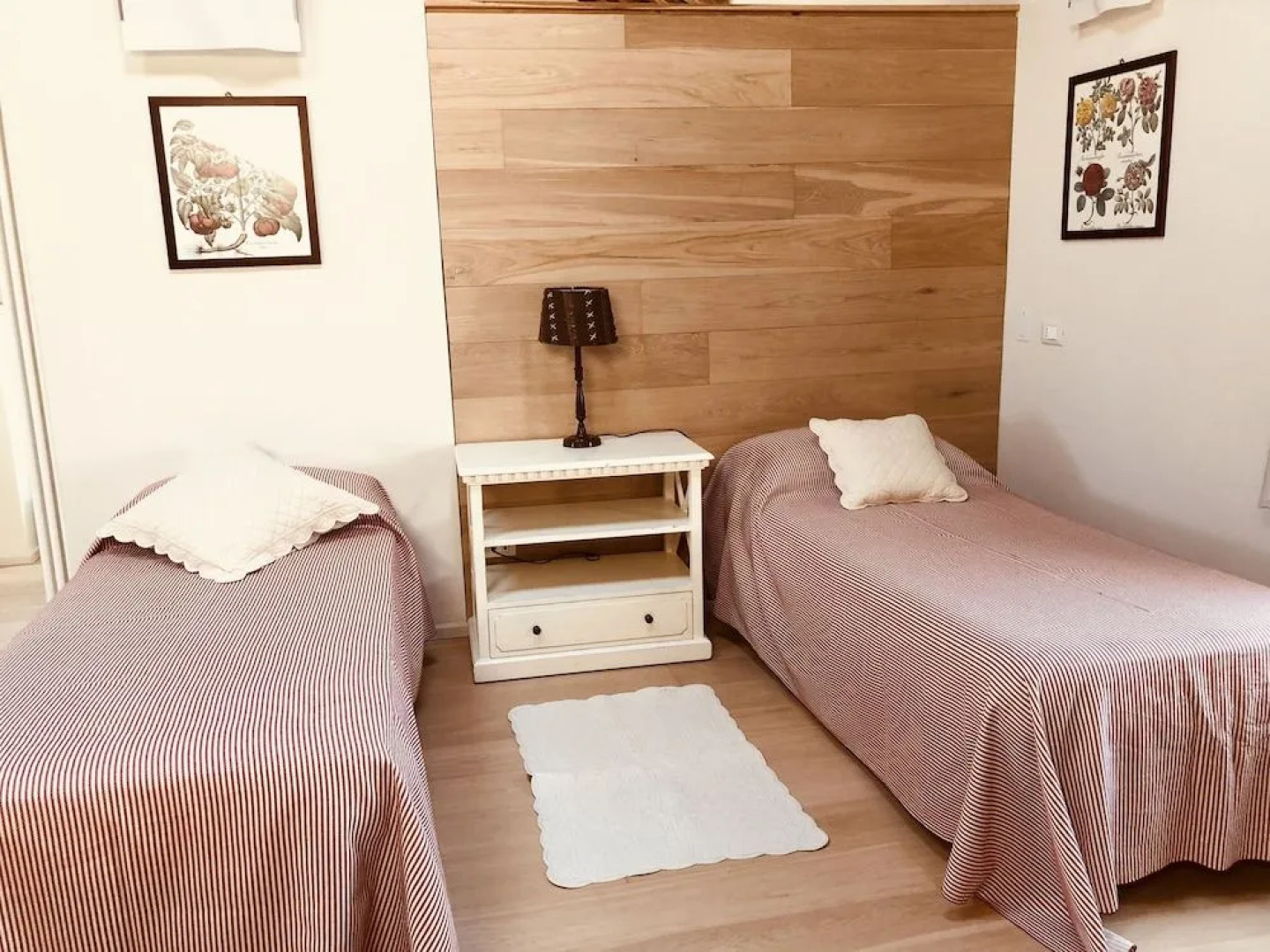 B&B Fraxinus Excelsior