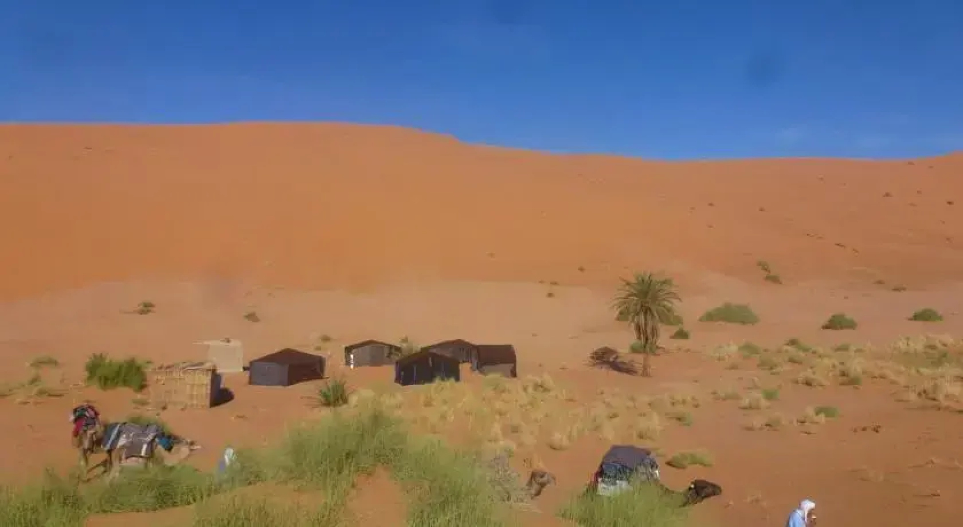 Oasis Camp