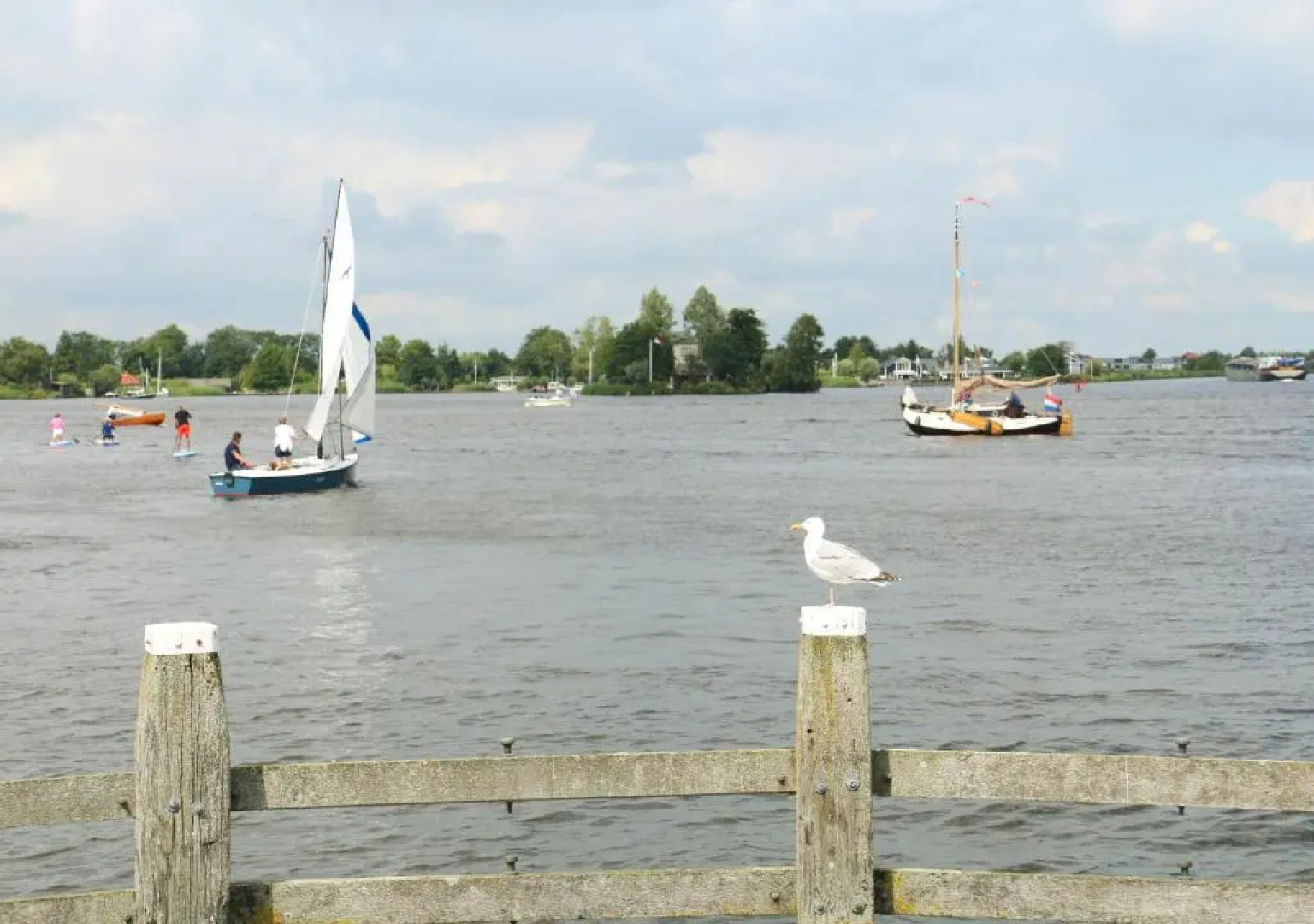 Rietreiger luxe vakantielodge in Friesland - 2 badkamers
