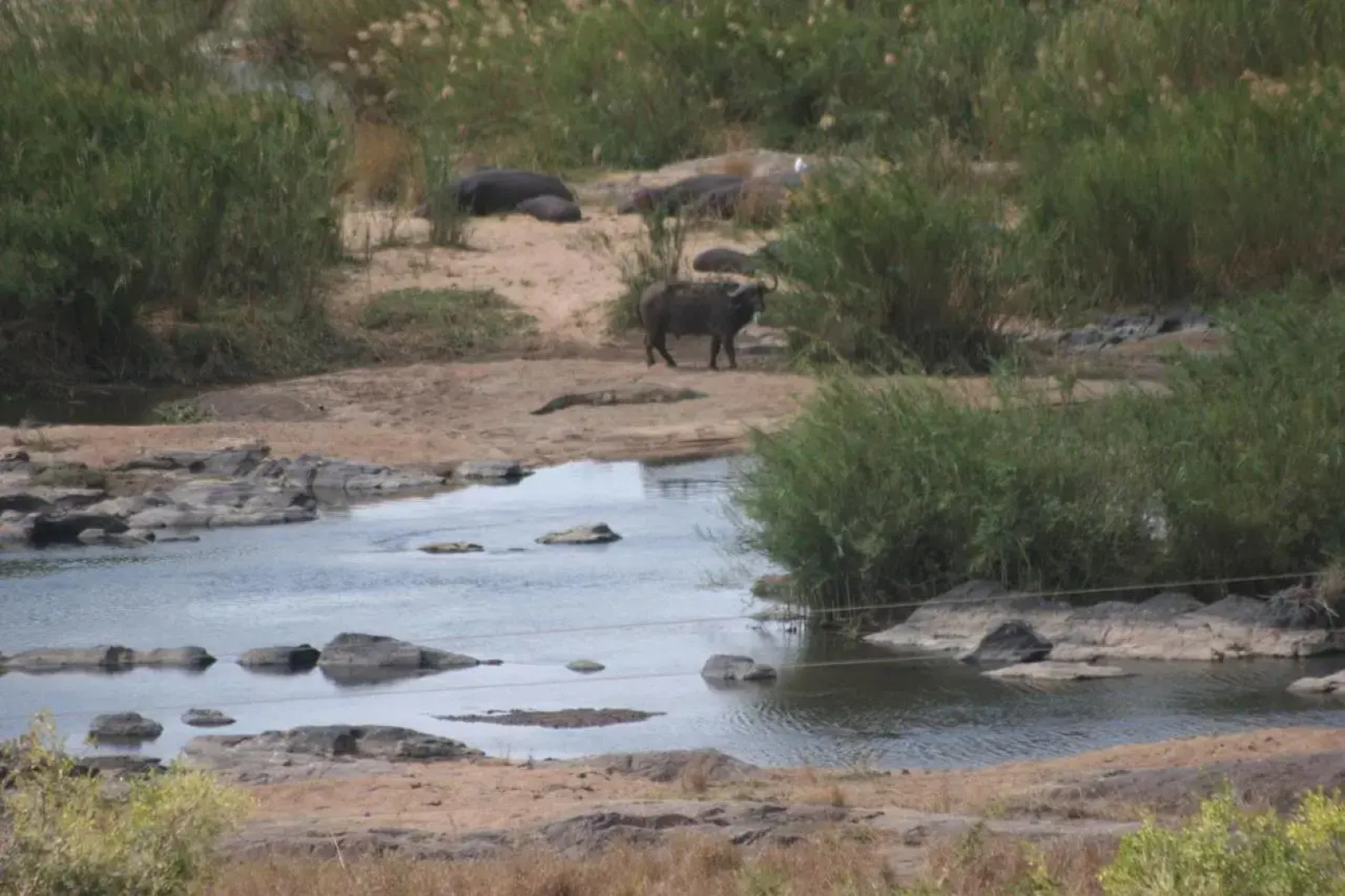 Villa Too Kruger Lodge