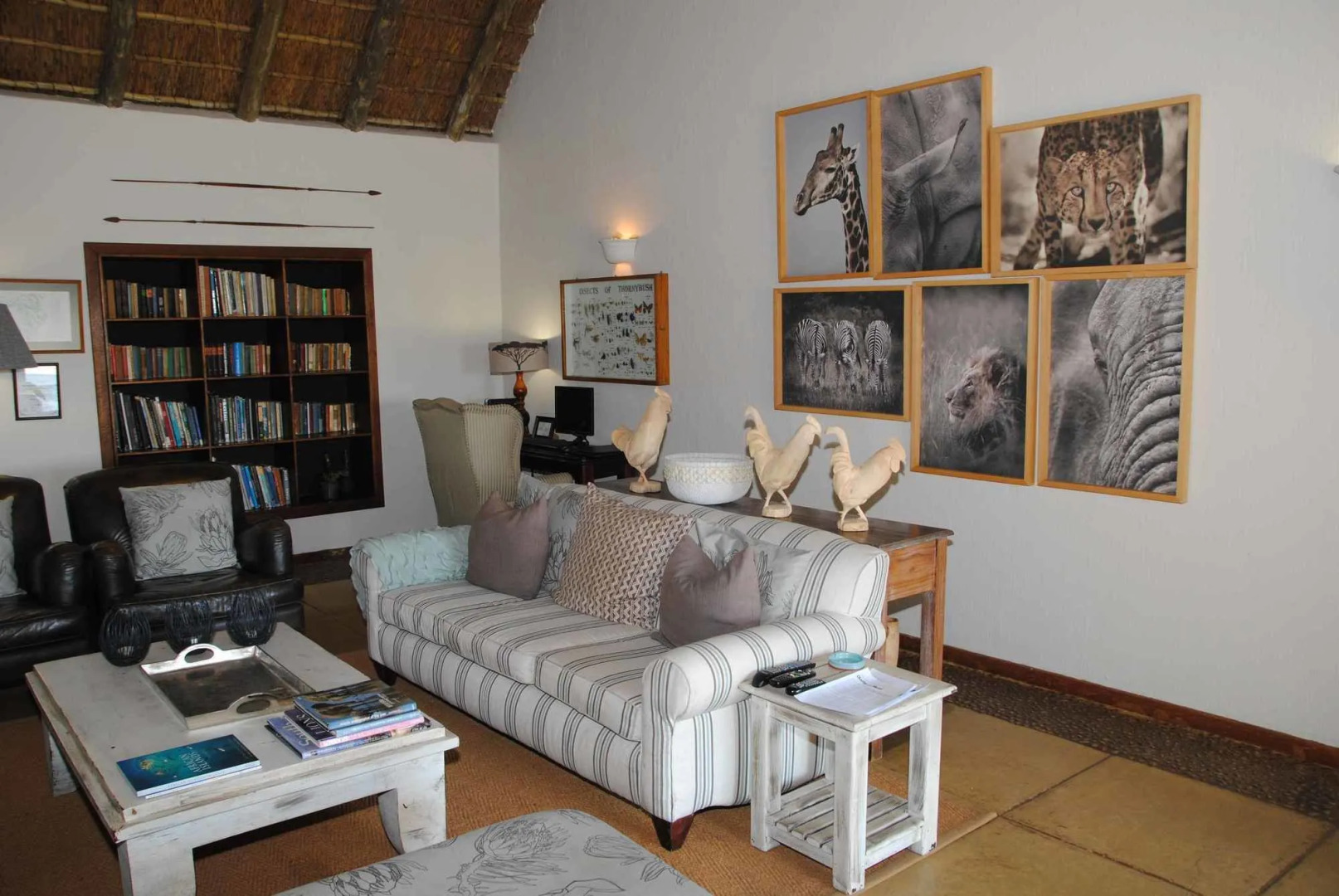 Thornybush Game Lodge