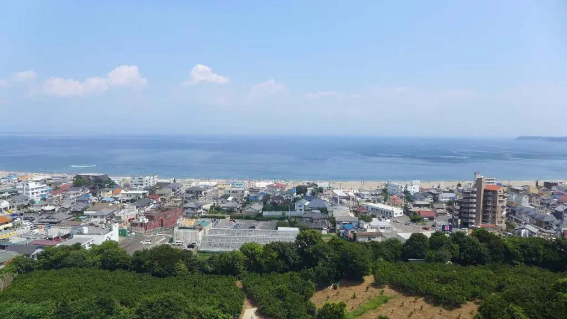 Maholova Minds Miura