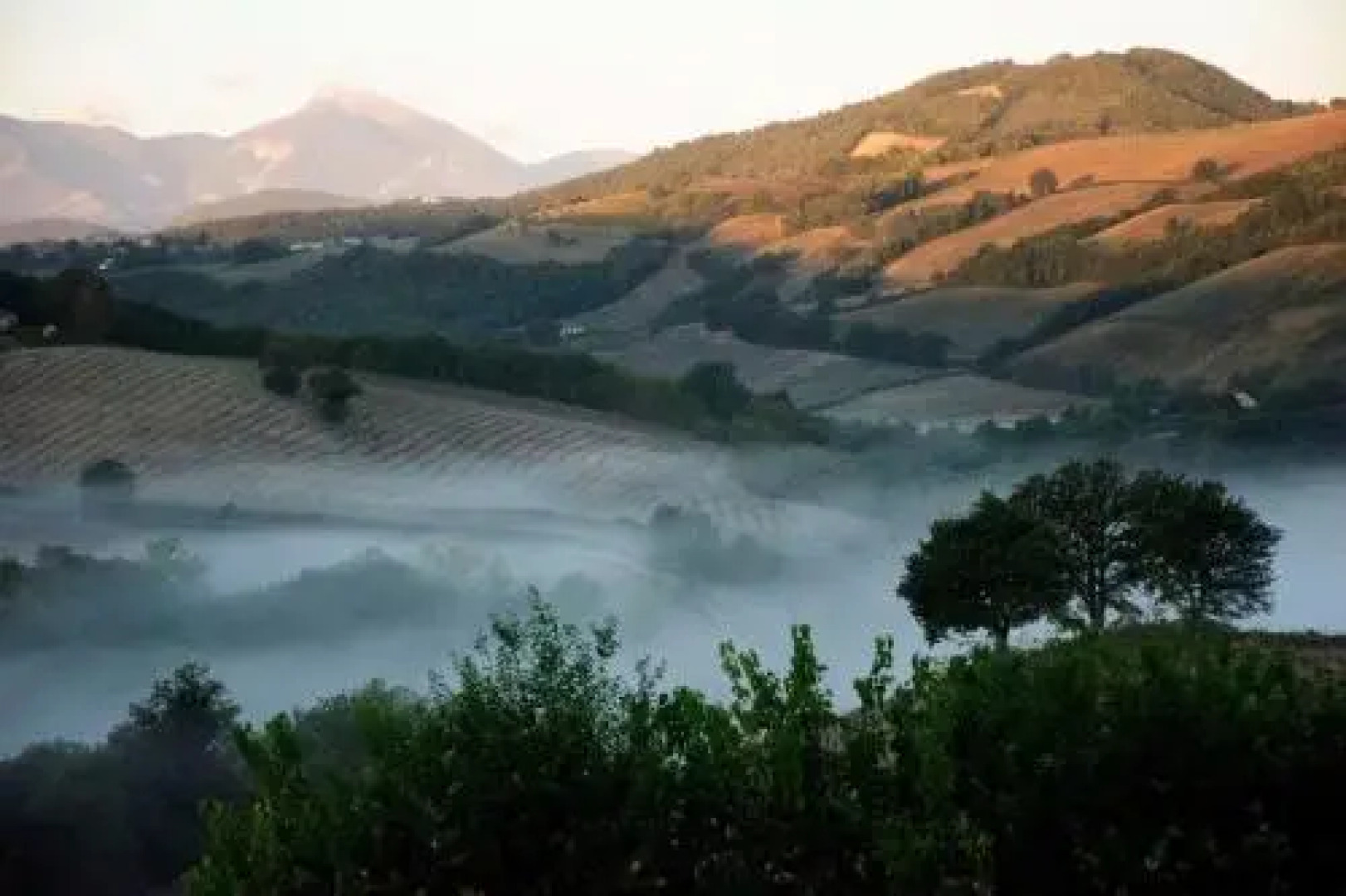 Casa dei Sogni d'Oro