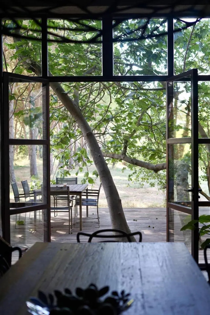 Domaine De Saint Domingue