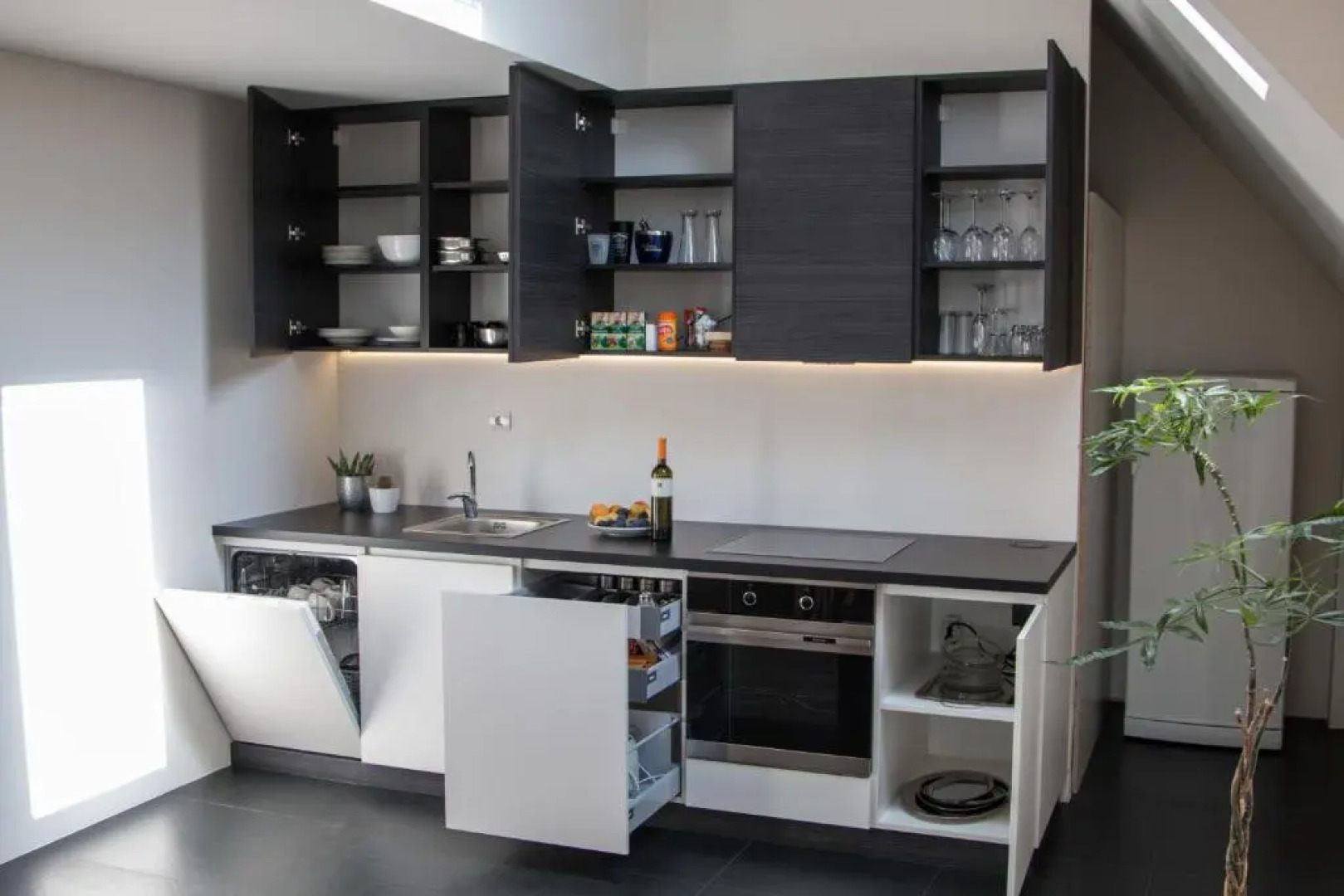 Apartment Penthouse Festina Lente