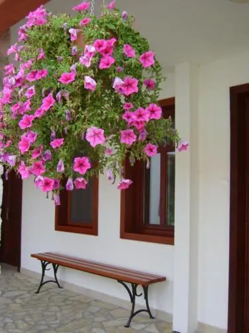 Diósgyori Castle Garden Bed and Breakfast und Restaurant