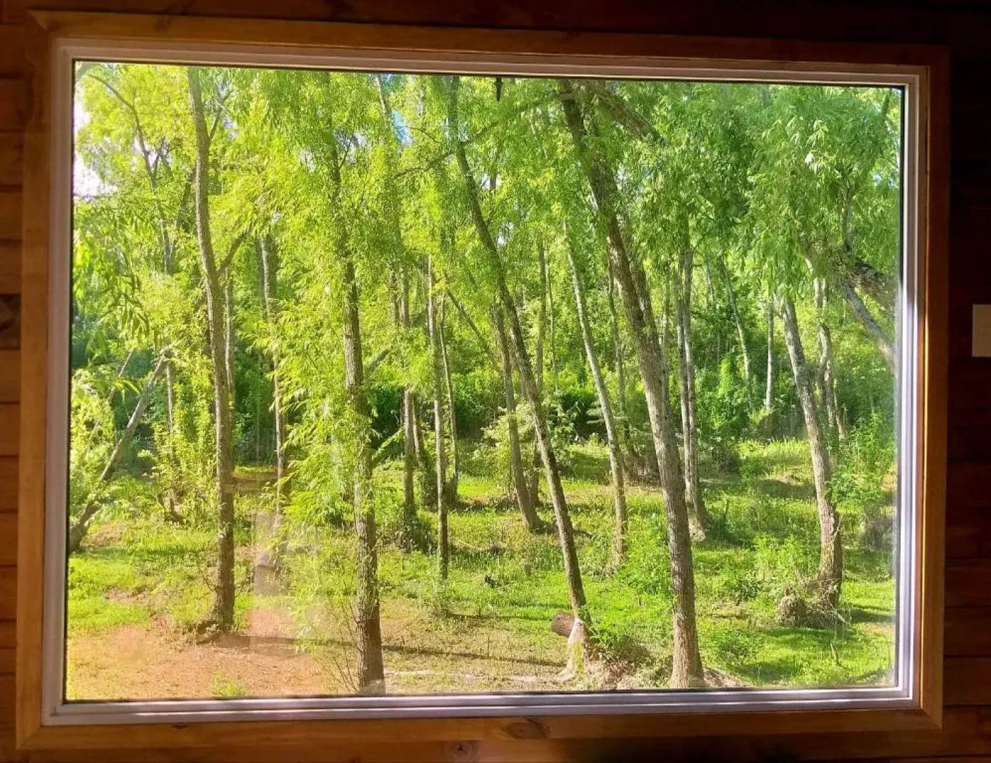 Cabañas Amo Río - Delta