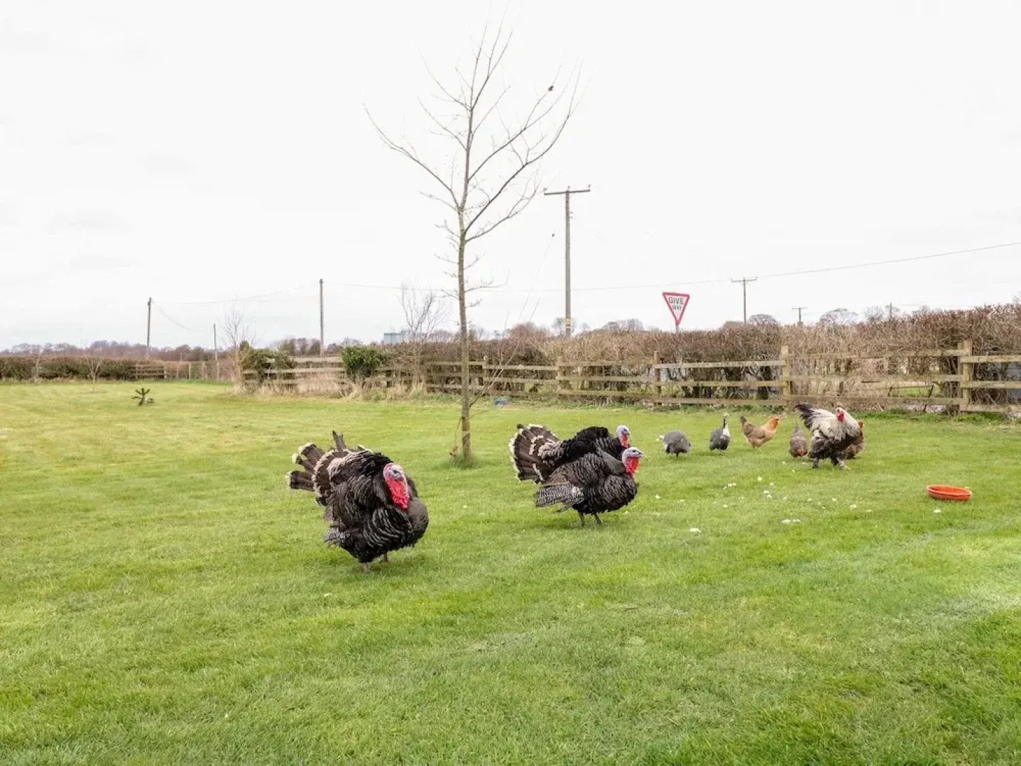 Bellamour End Cottage