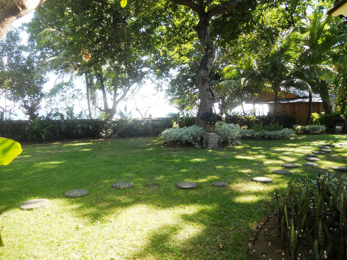 Bali Lovina Beach Cottages