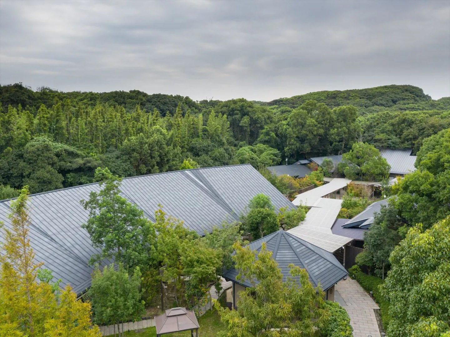 Budonoki Morino Nanakusa