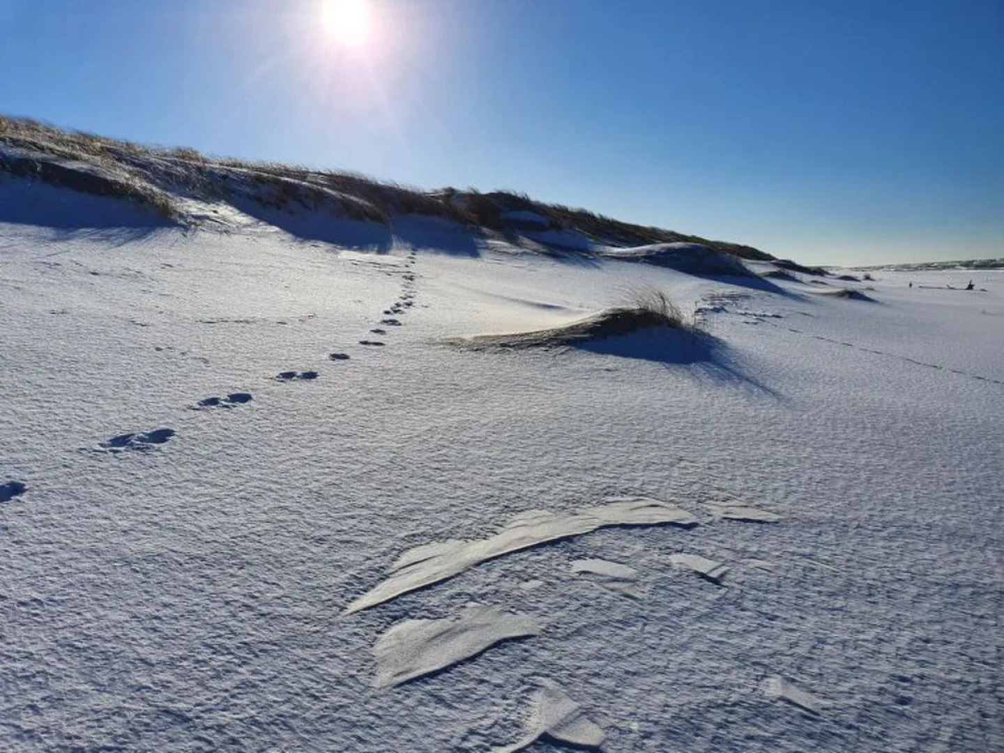 "MODRZEWIOWY ZAKąTEK"
