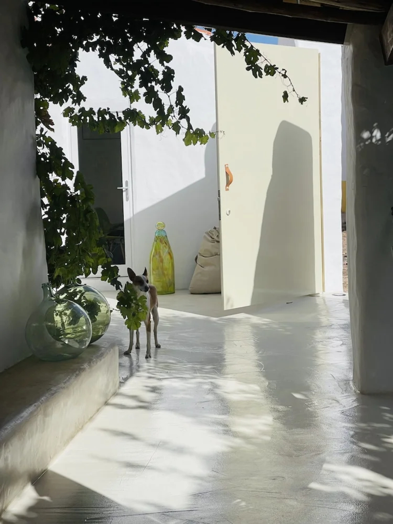 uma casa em entradas Guesthouse Alentejo