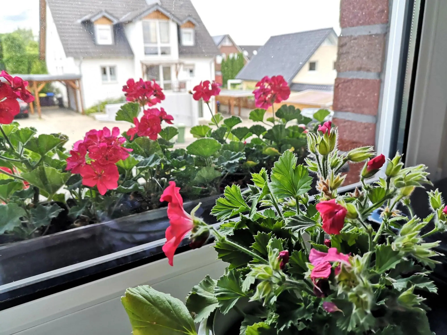 Stellar Apartment in Detmold With Garden