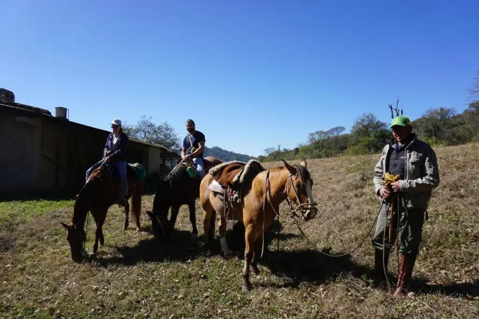 Finca Las Margaritas