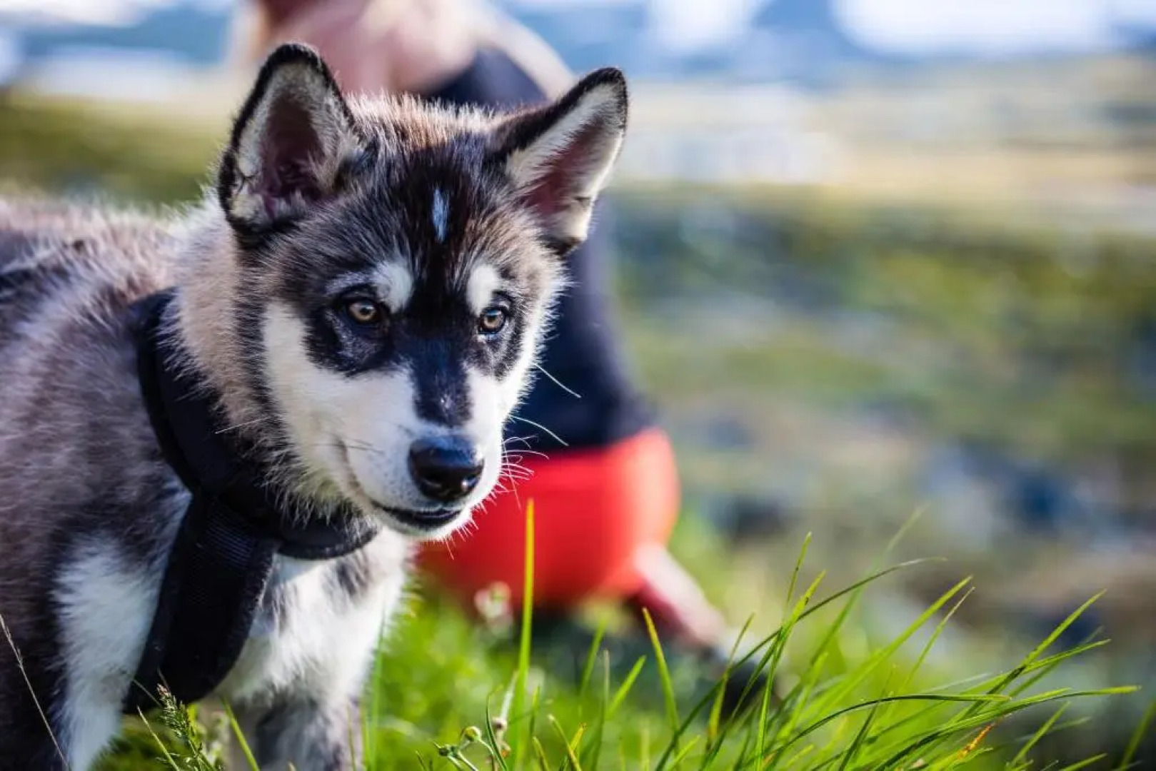 STF Grövelsjön Fjällstation