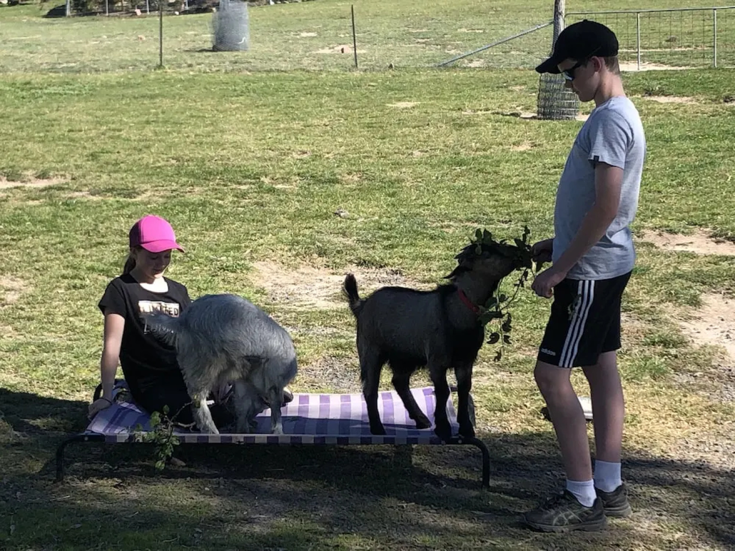 High Country Trail Rides & Farm Stay