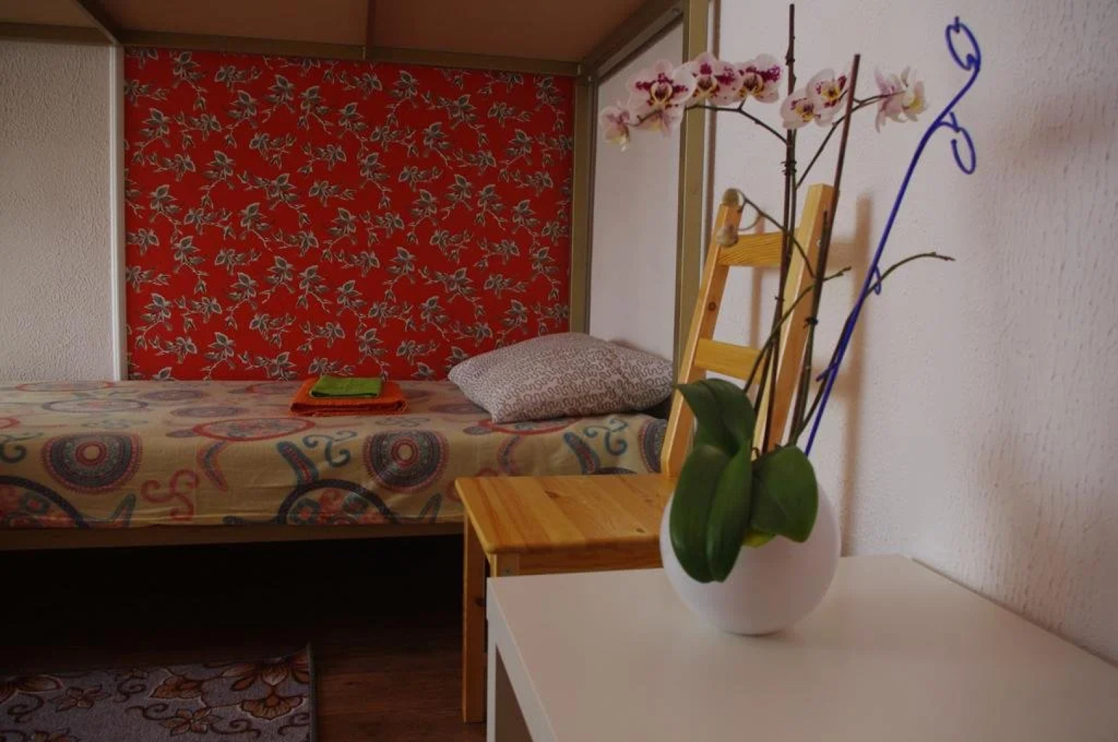 Hostel Kuba
