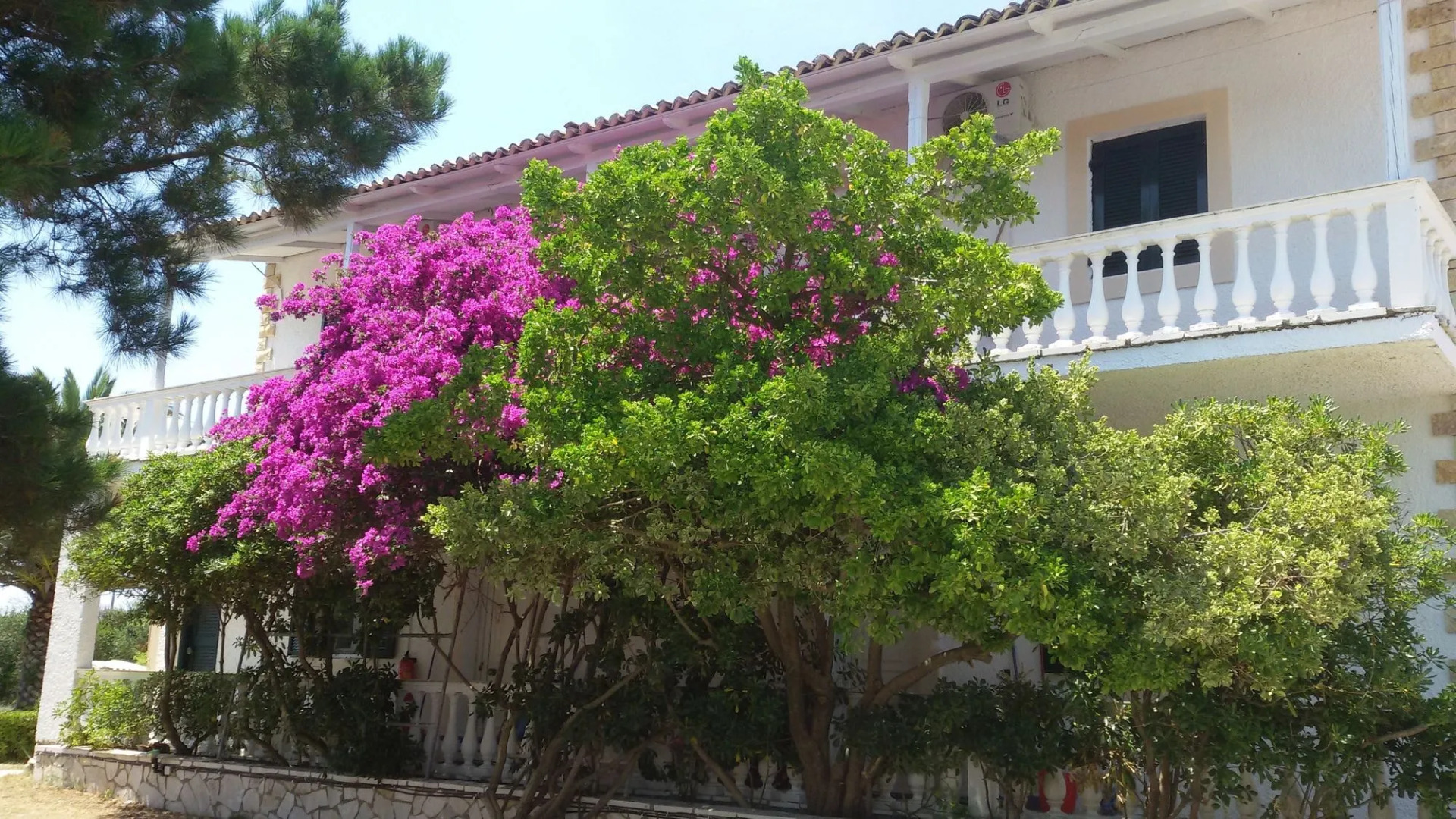 Elli Beach Apartments and Studios