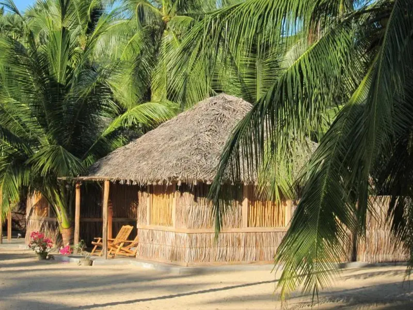 Funky Far Nest Tropical Resort