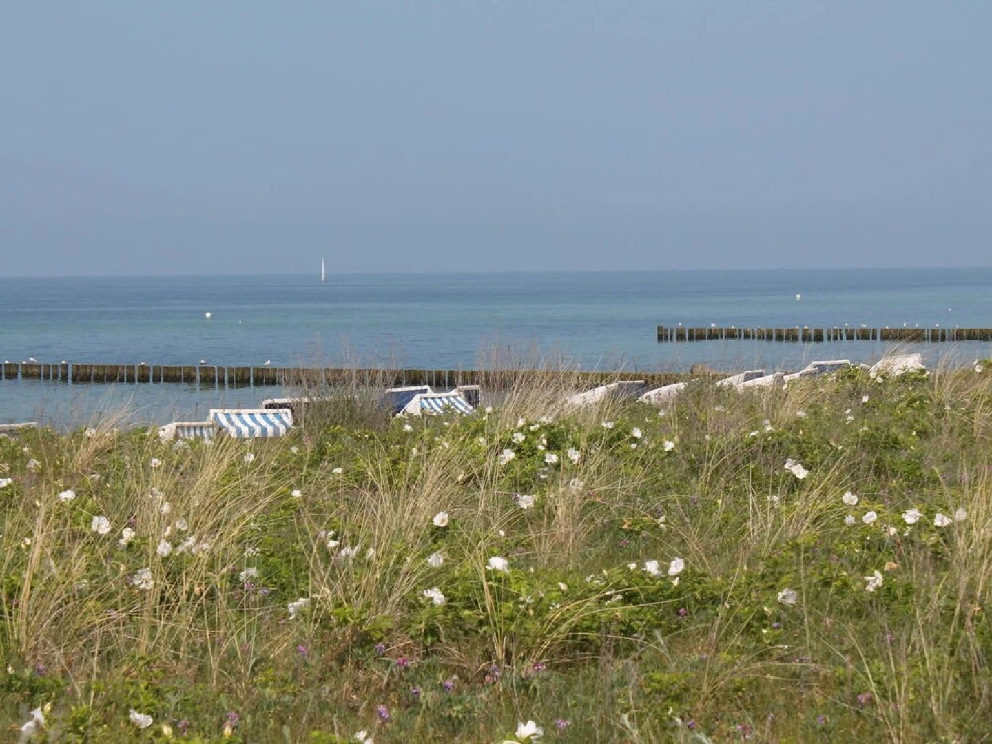 Lovely Holiday Home in Kropelin with Sauna