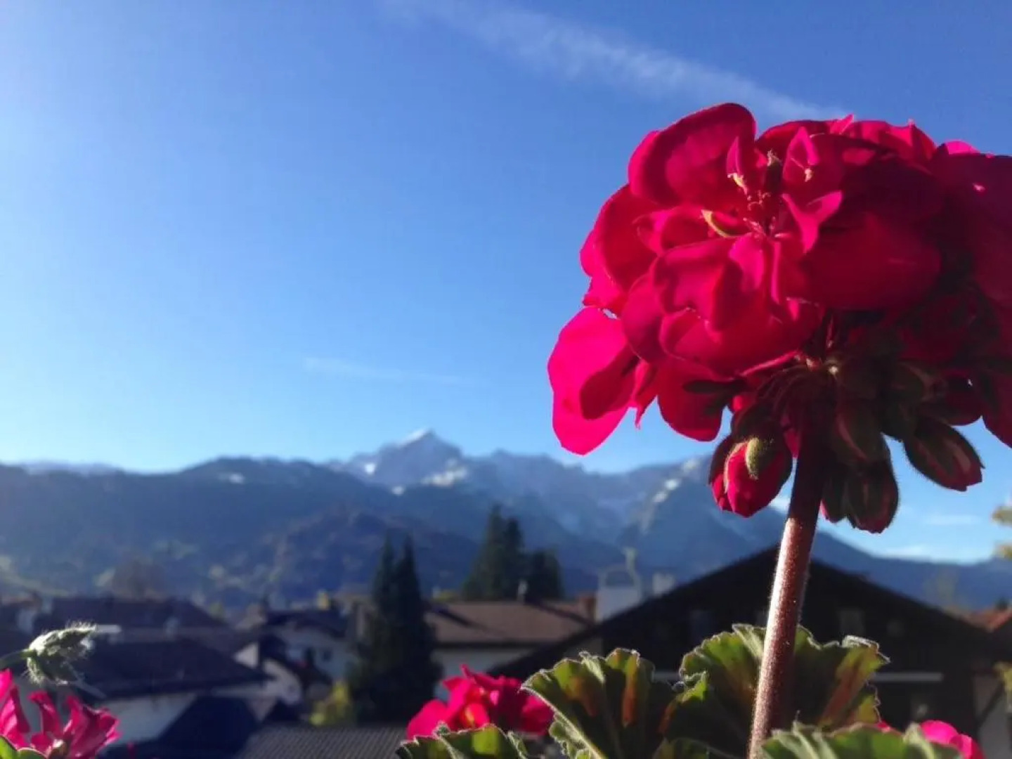 Ferienwohnung Gruß aus Partenkirchen