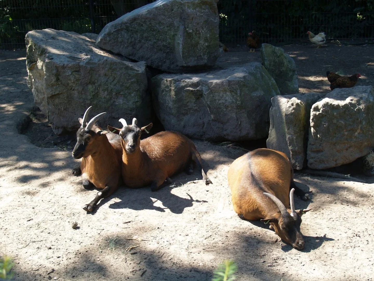 Tidy Furnished Chalet With a Dishwasher