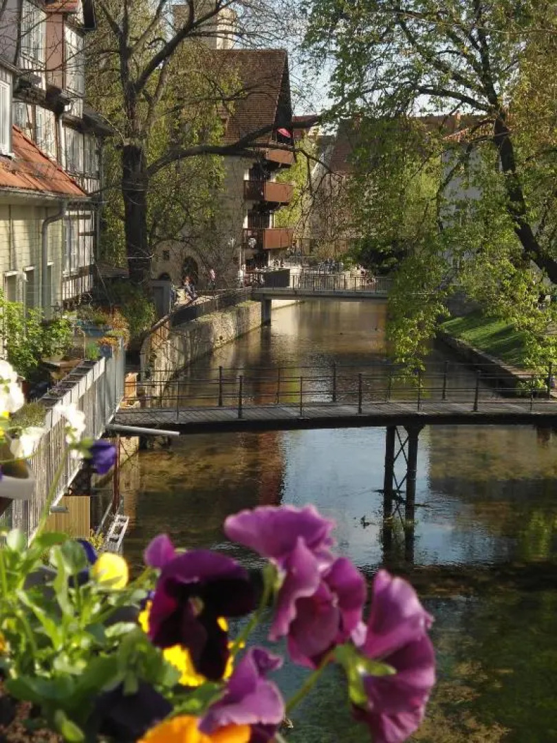 Altstadtapartment an der Krämerbrücke