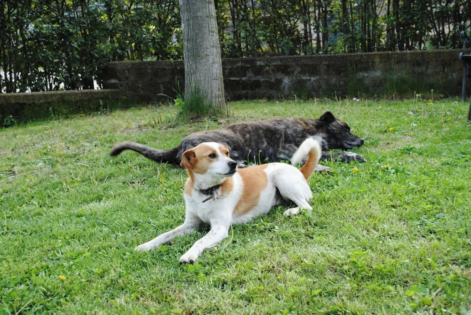 Agriturismo Tenuta Serpepe