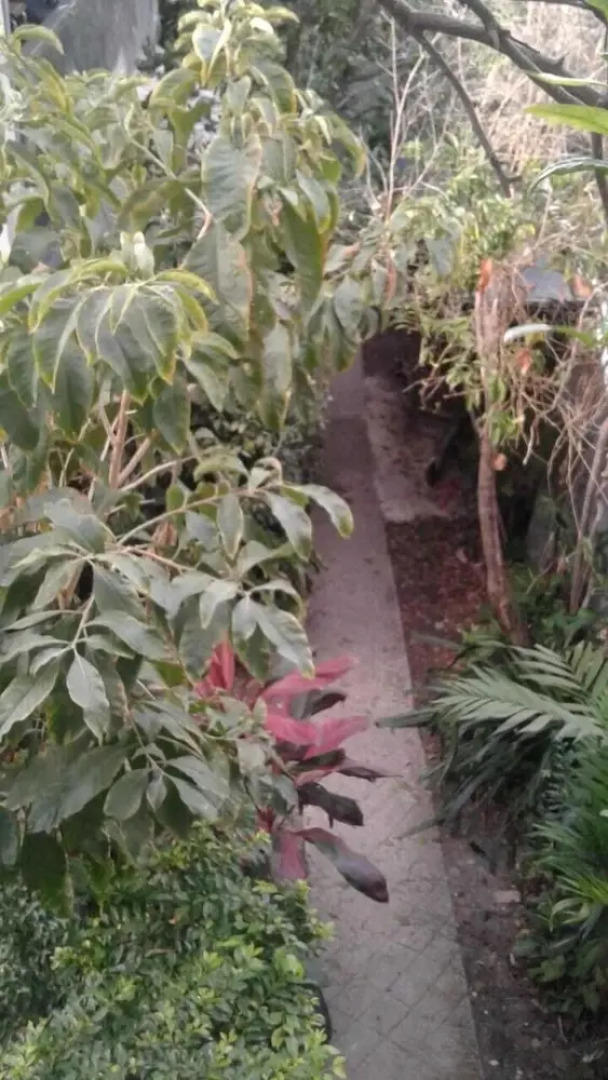 Hospedaje Alvarez Hosts