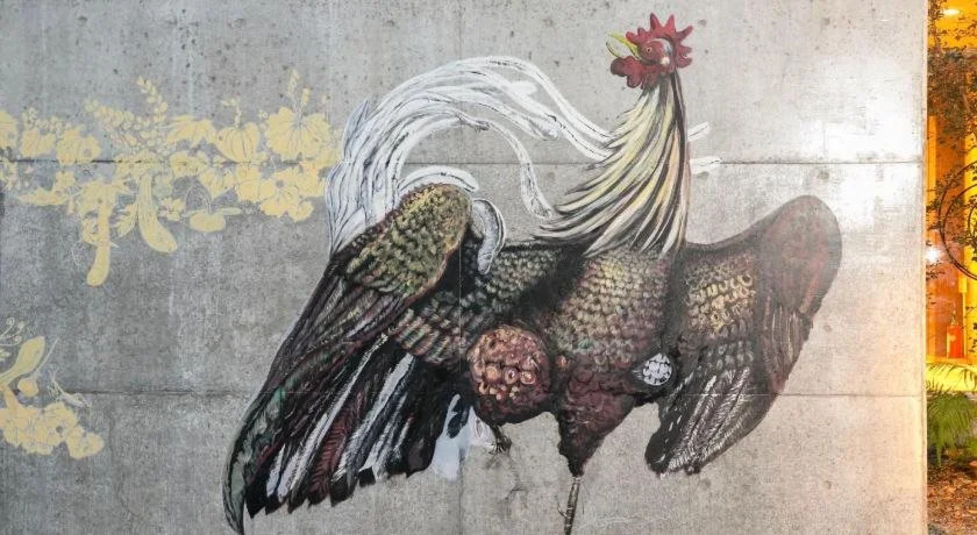 Sazareishi Takashima