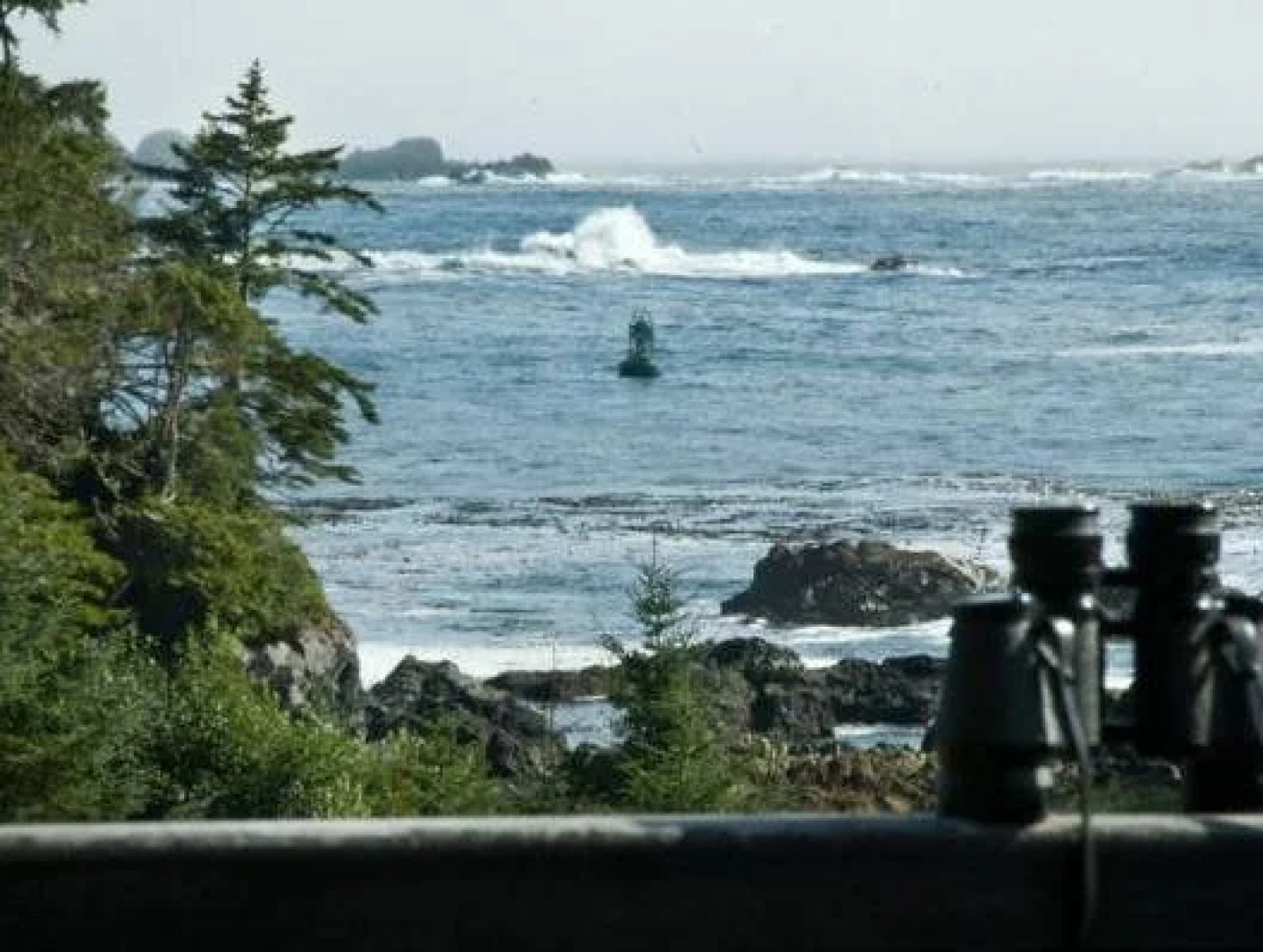 Wild Shores Guest House