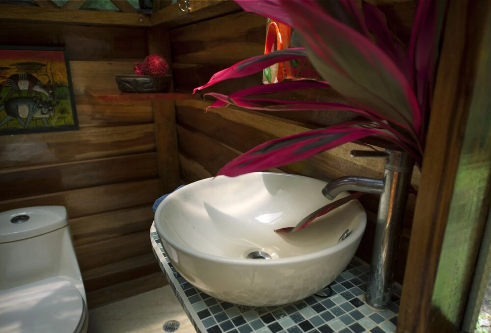 Congo Bongo EcoVillage Costa Rica