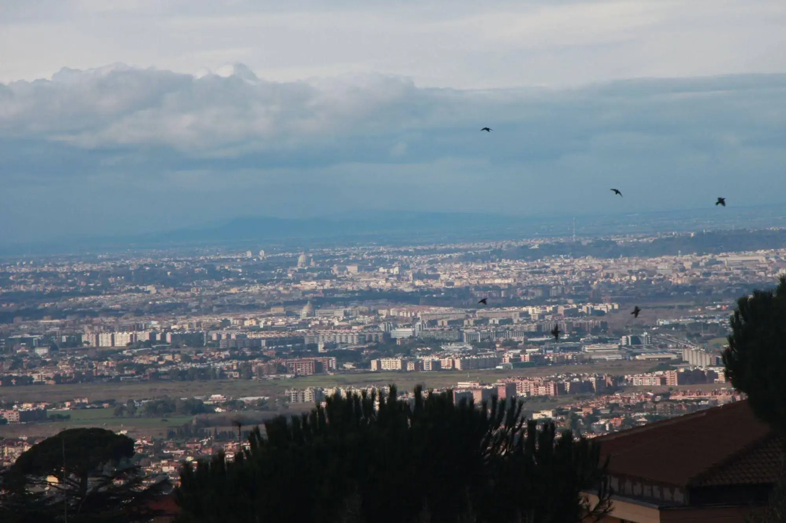 B&B La Terrazza Di Frascati