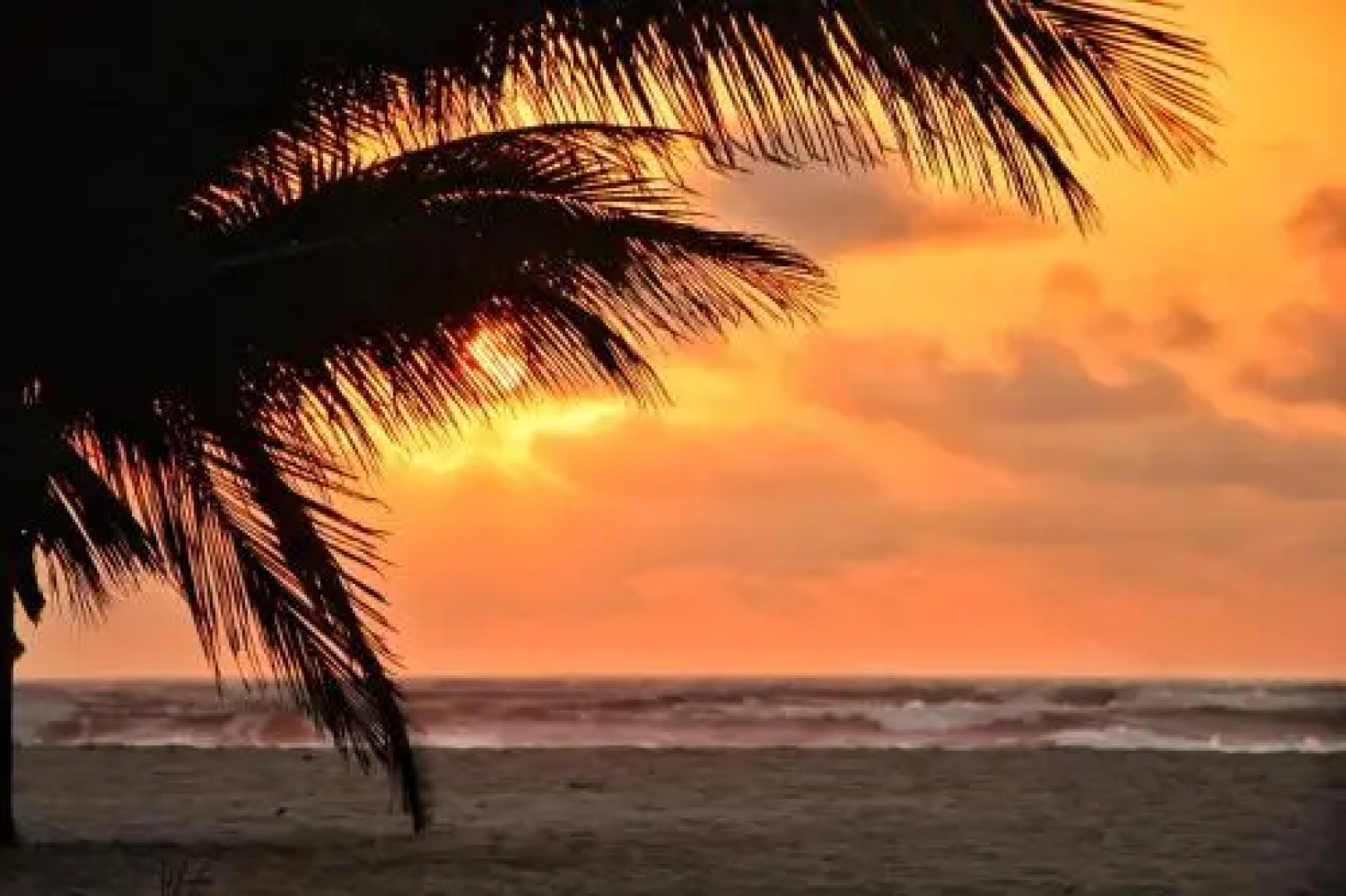 Ecolodge Mar y Paz Canoa