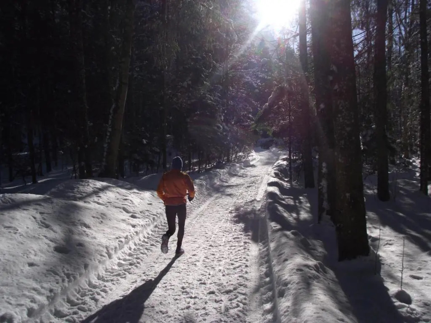 Ferienwohnung am Römerweg Wald