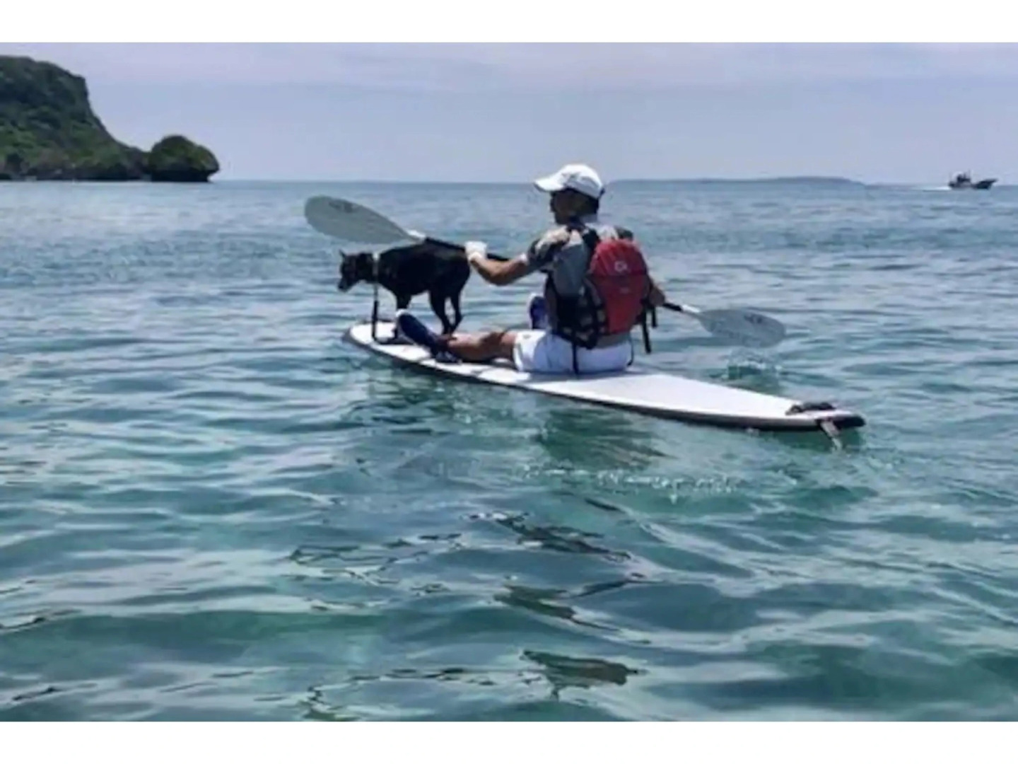 Old American House K-113