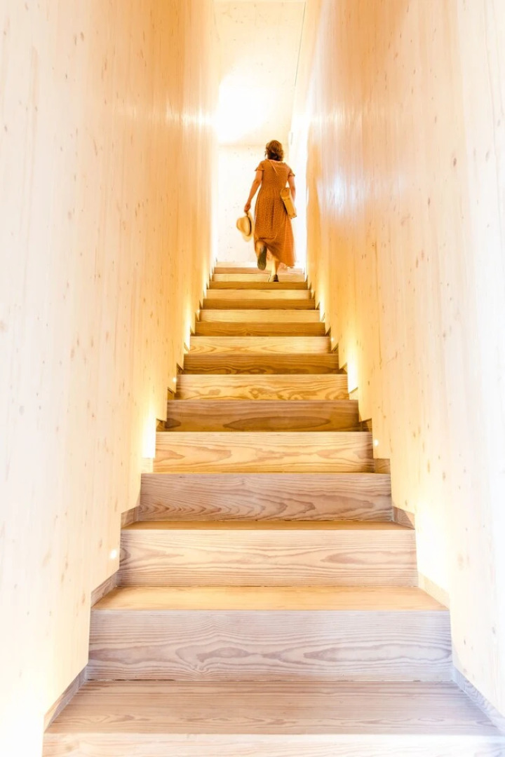 The Nest By Cooking and Nature