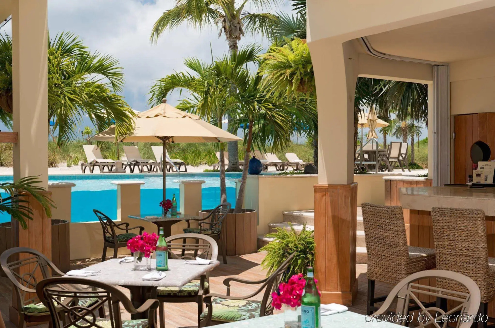 Windsong on the Reef