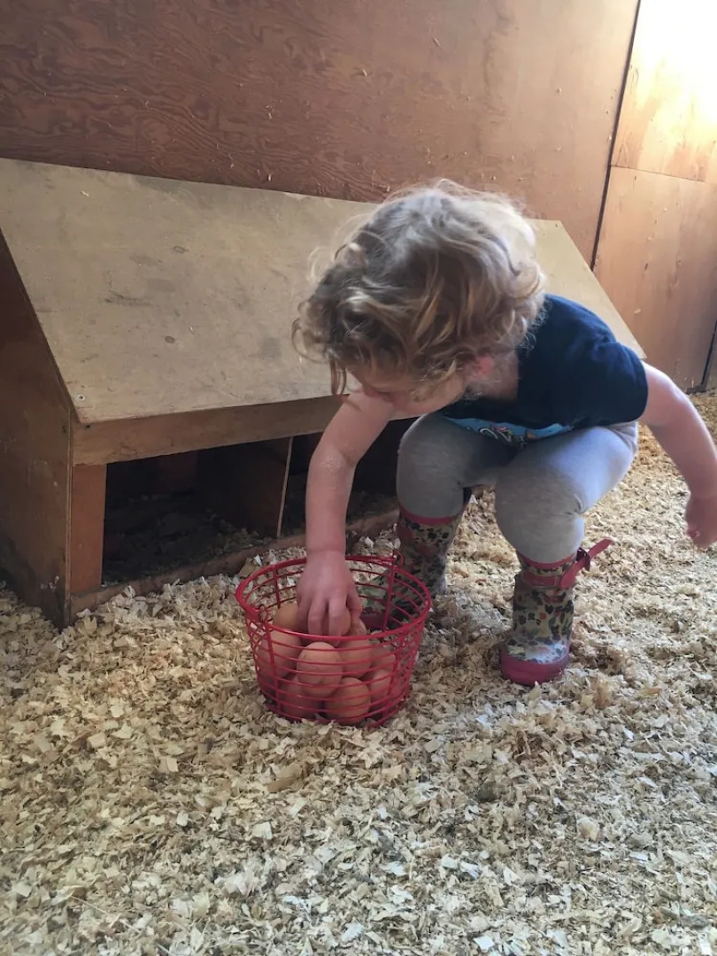 Fat Sheep Farm & Cabins