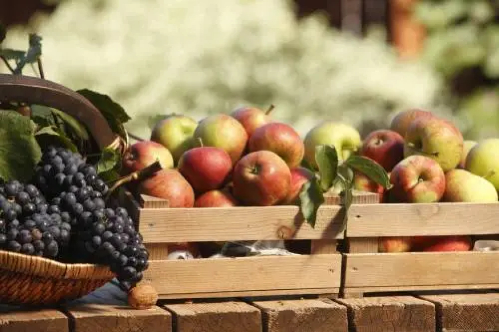 Residence Rasp zu Natz