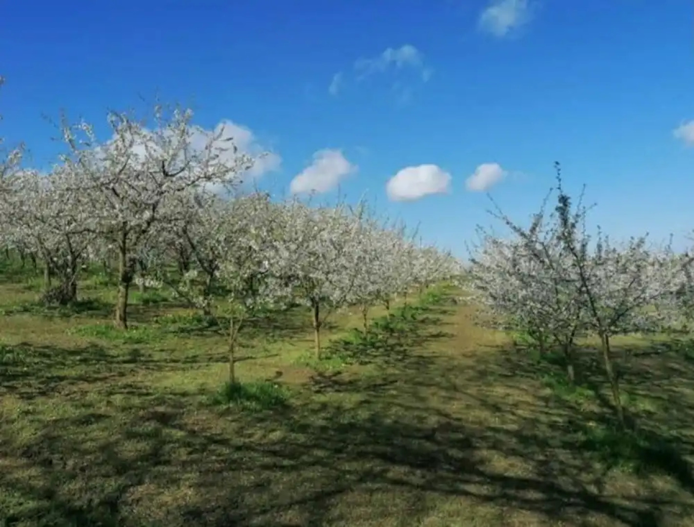 Lovely Apartment in Hesse