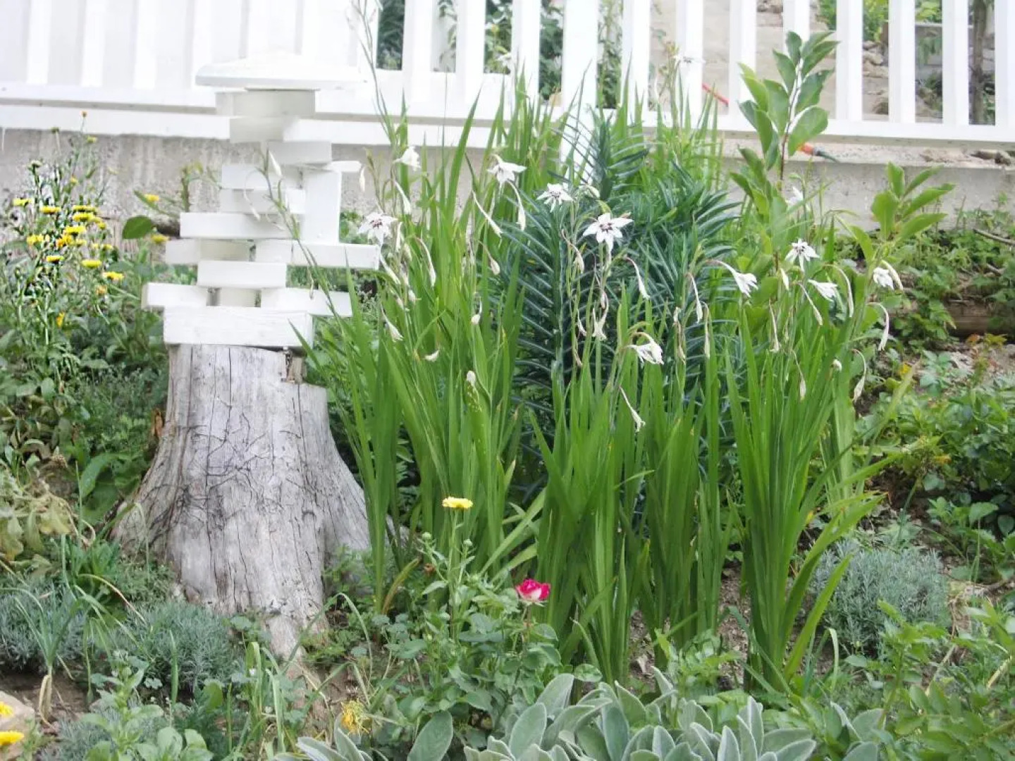 Roomantic Apartments