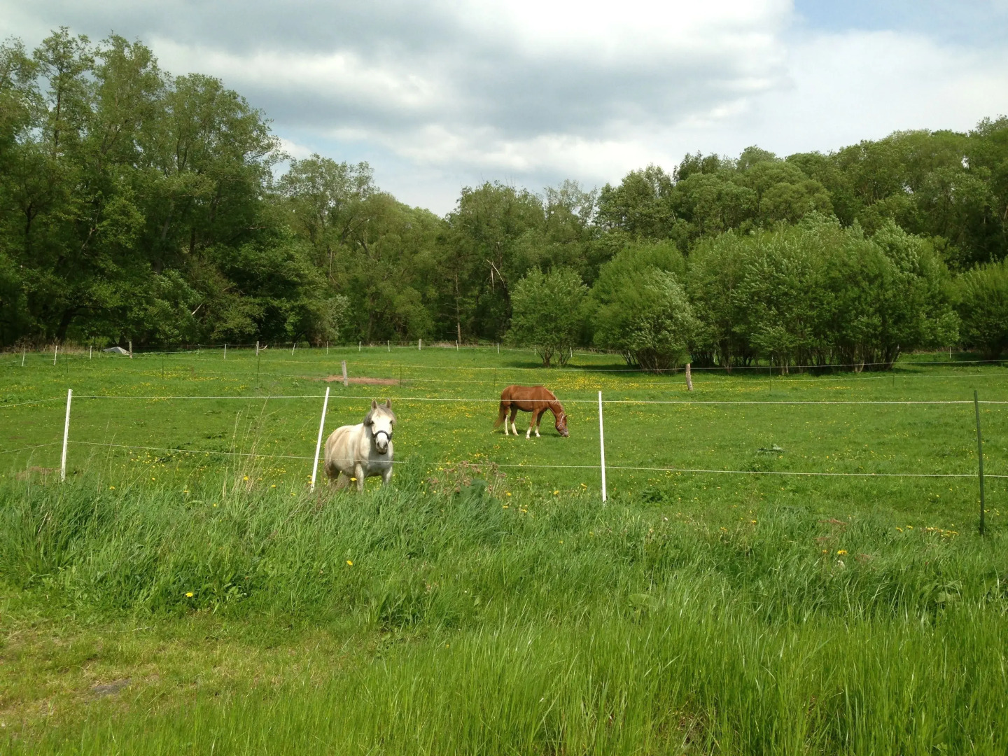 Hotel am Steinertsee - Kassel-Ost