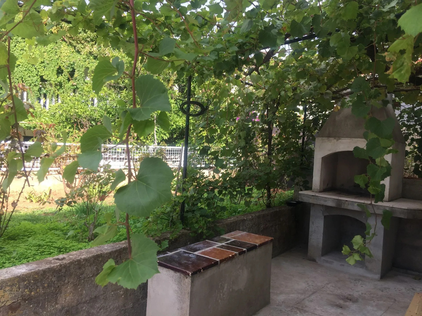 Apartment Sjajna - garden: A1 Jelsa, Island Hvar